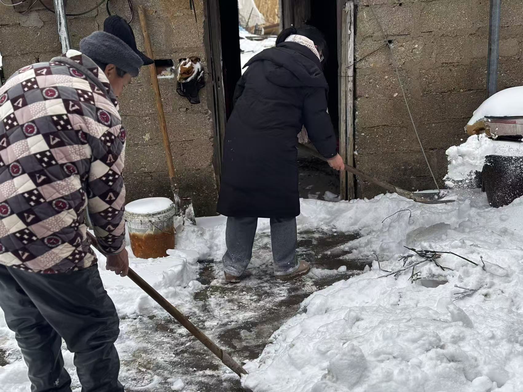 8d78e55fa493be4aec6fa6d941cfb02f