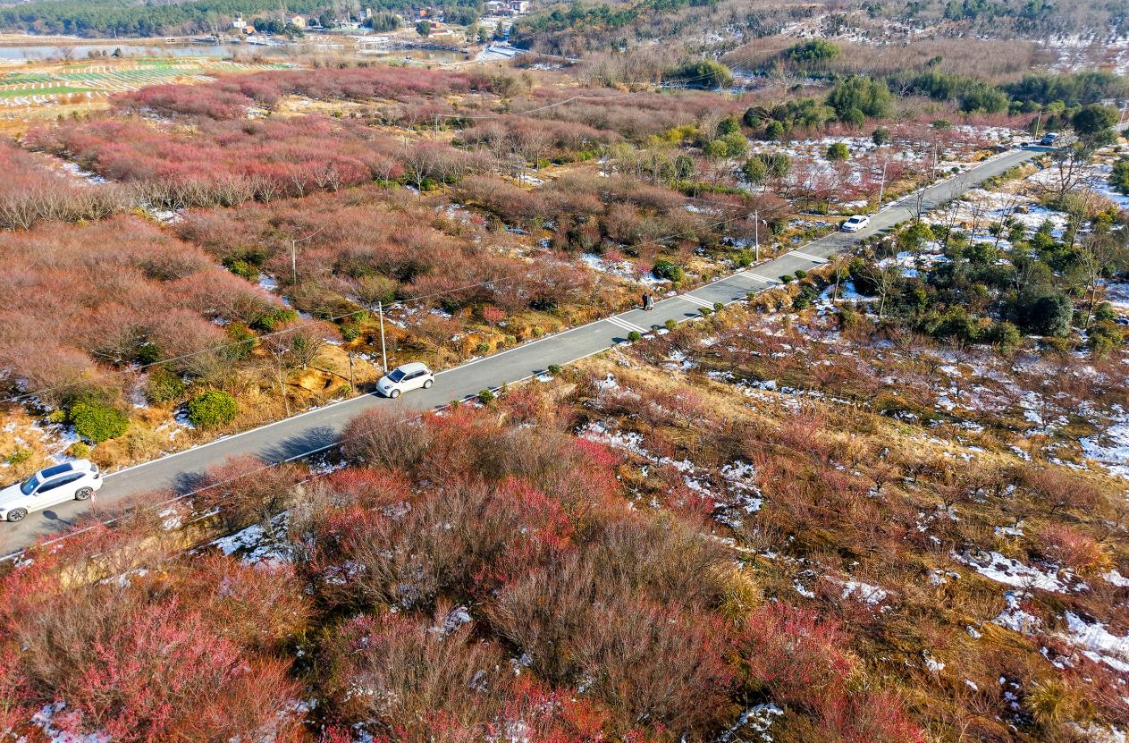 DJI_20260122144035_0029_D