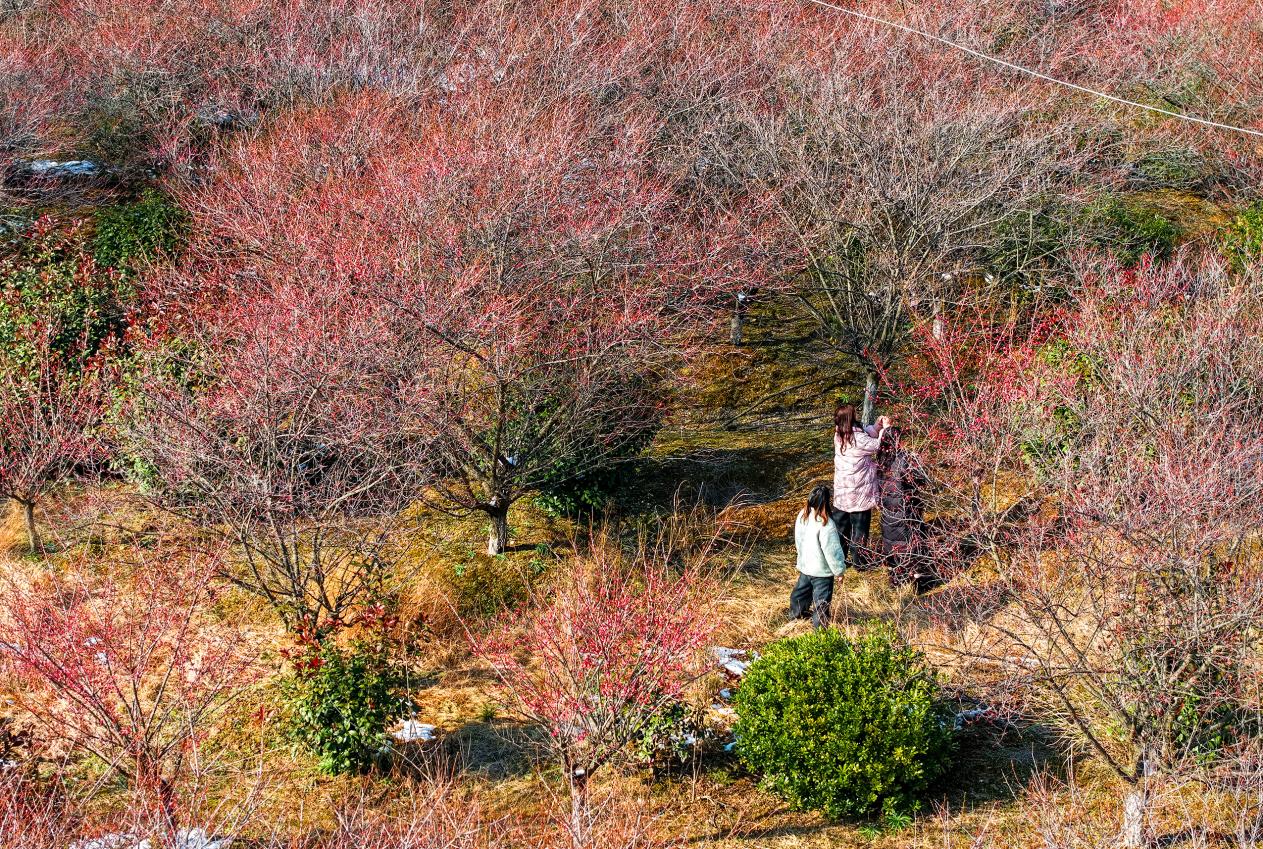 DJI_20260122142632_0003_D