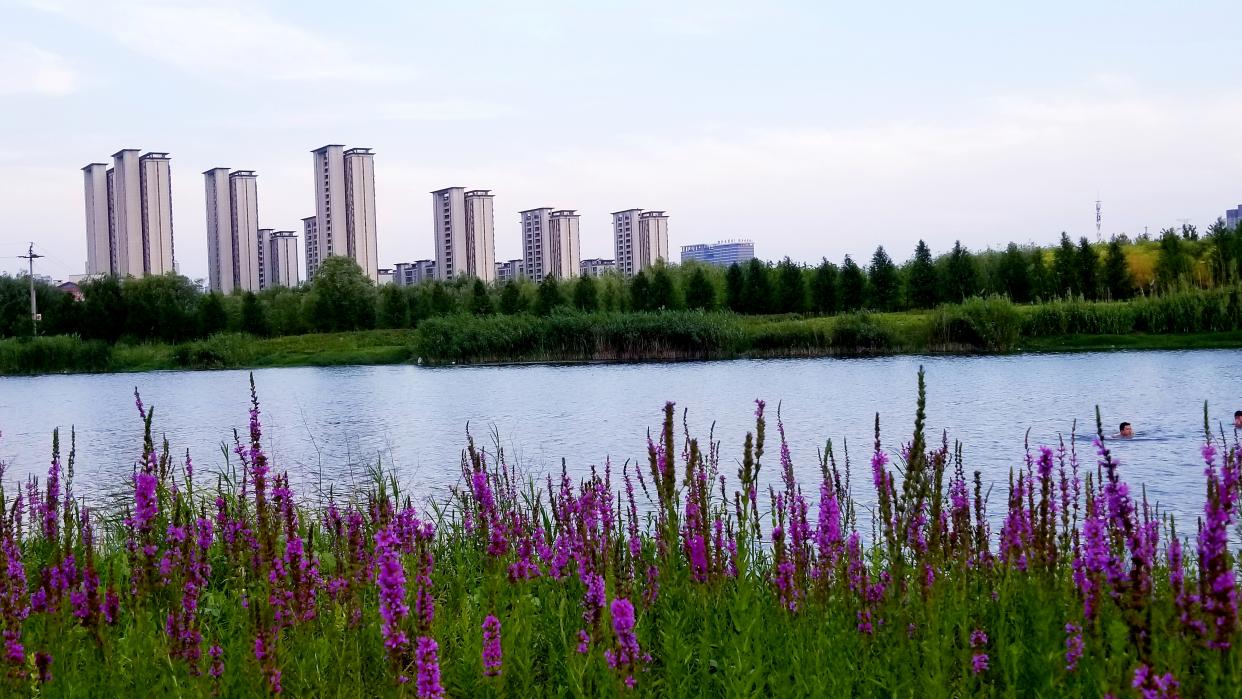 微信图片_20240626164128