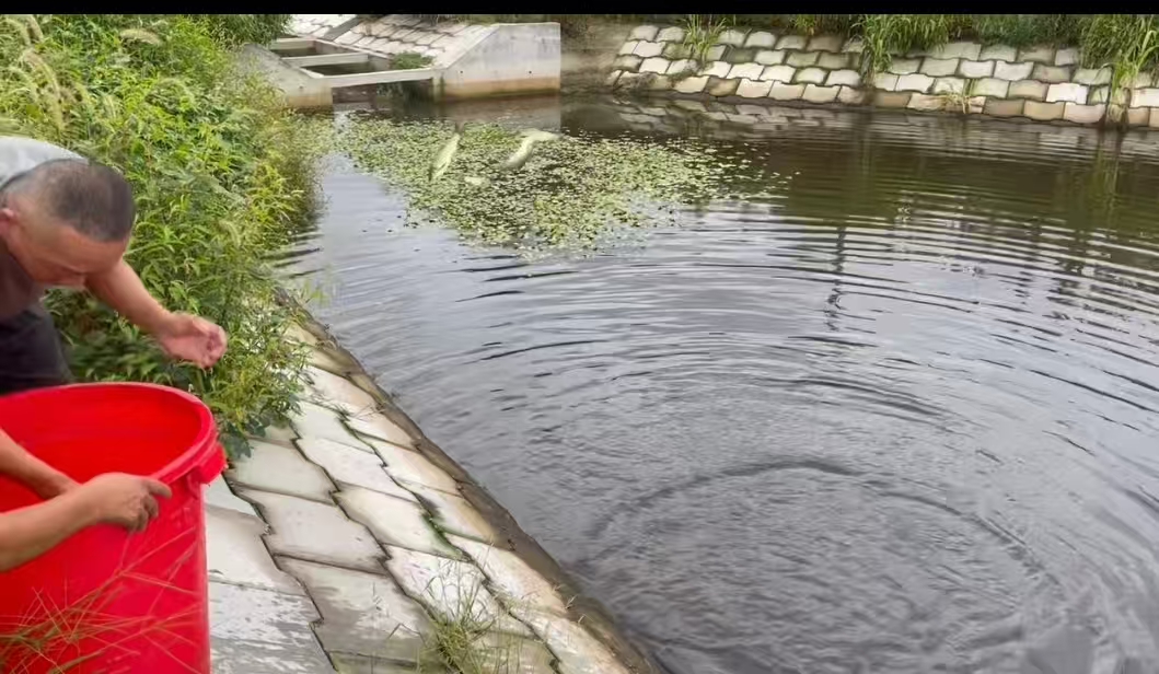 0a0e1b5cfd8a688c358b9320fc19fada