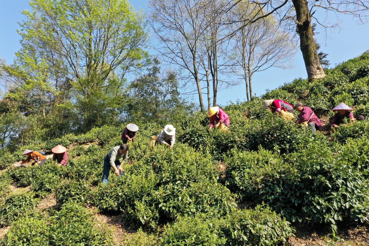 10885abfeffc475cd07ceb521a992dda