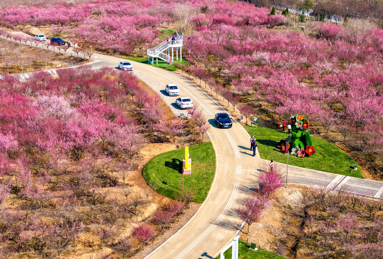 DJI_20260208142919_0102_D