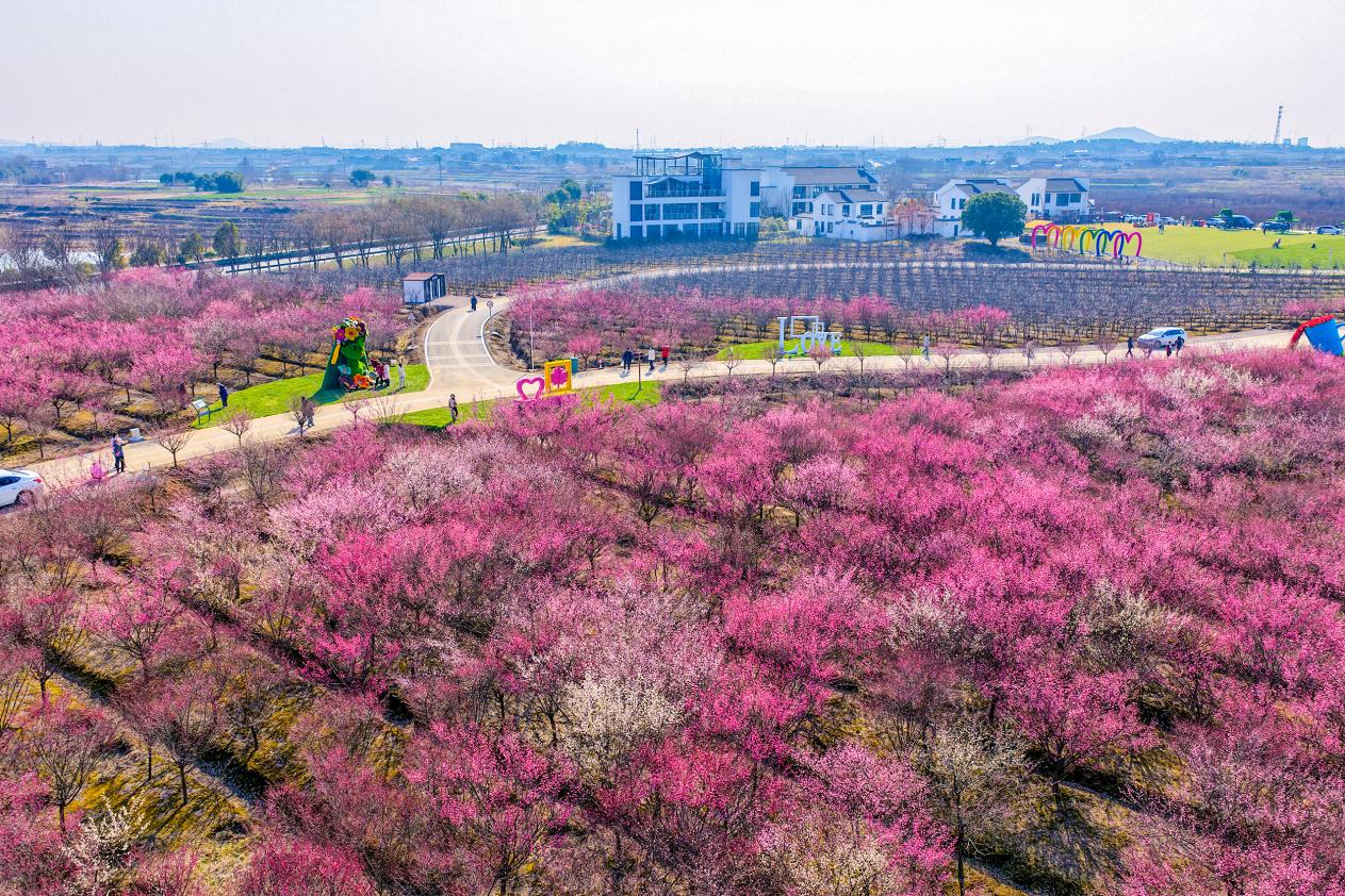 DJI_20260208142652_0091_D