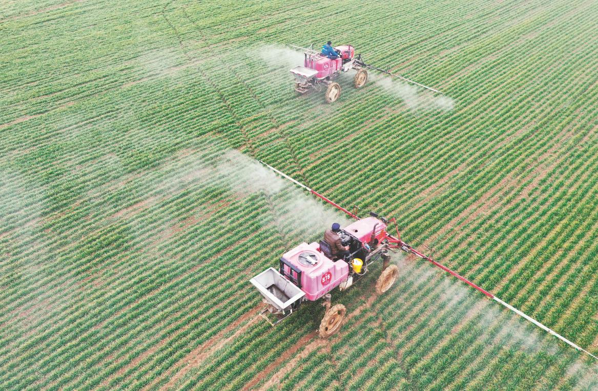 20230210第8期总第431期二版