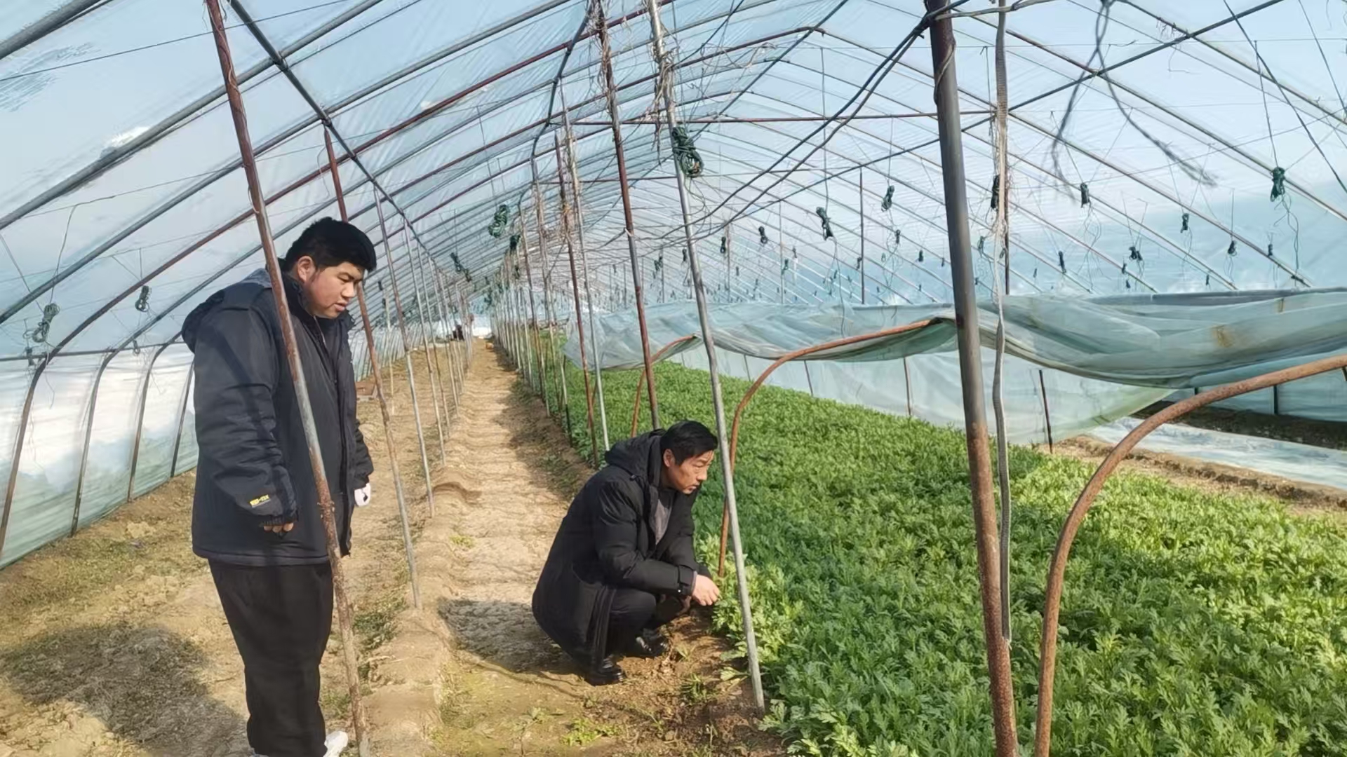 25d625aada508b9141137d8ebe045011