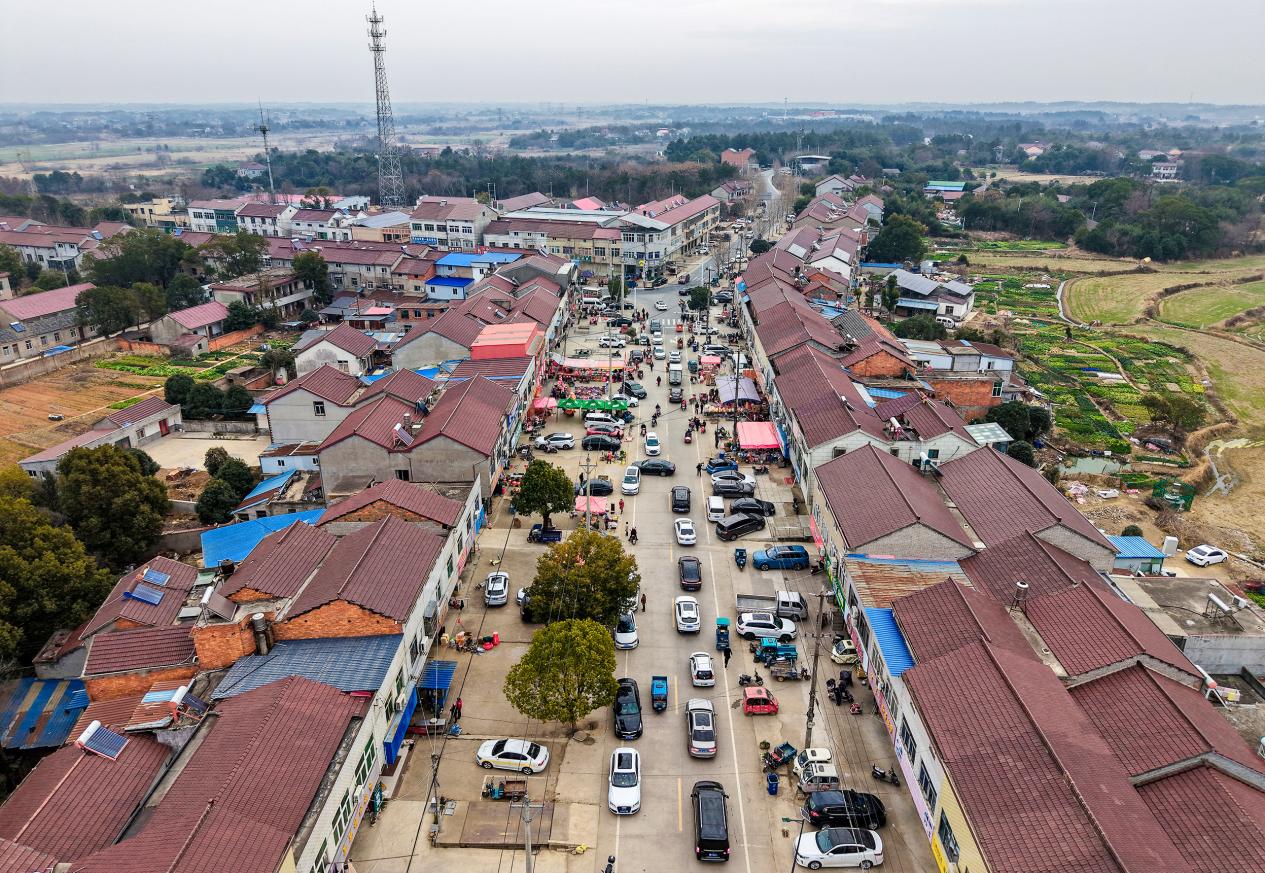 DJI_20260213094940_0053_D