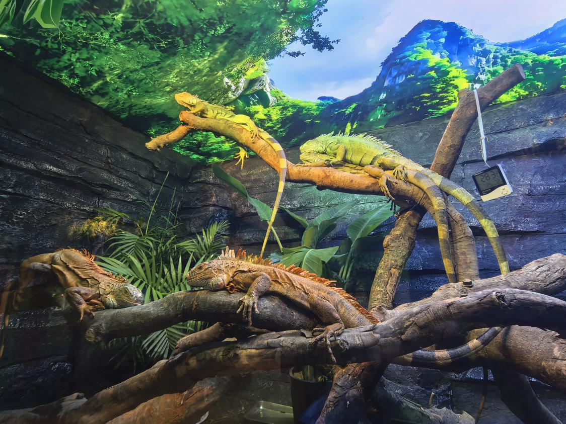 微信图片_20251031092248_4_1176