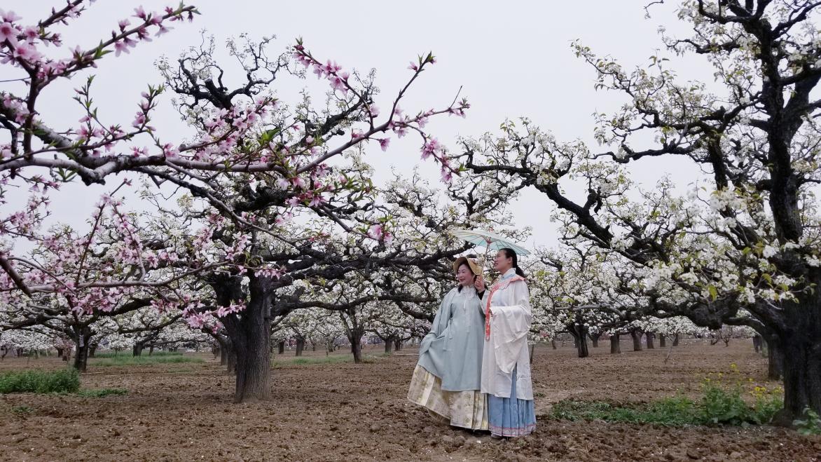 微信图片_20260213110301_1469_13