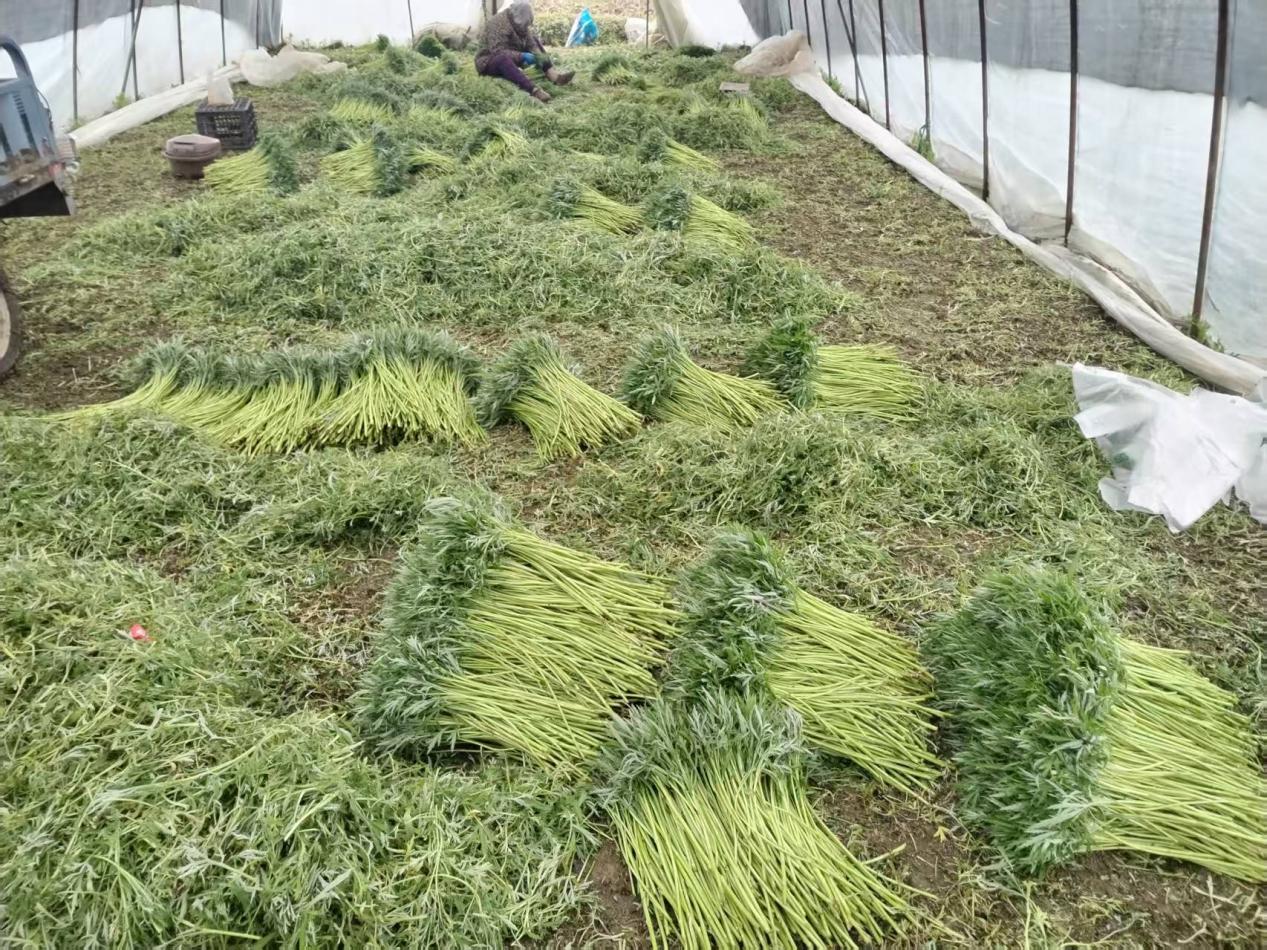 微信图片_20260227170851