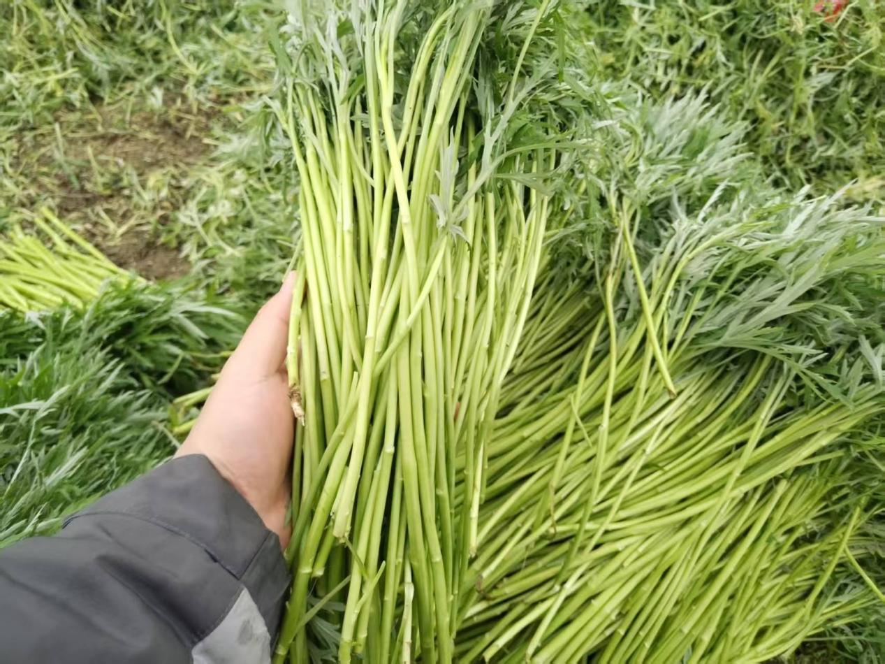 微信图片_20260227170900