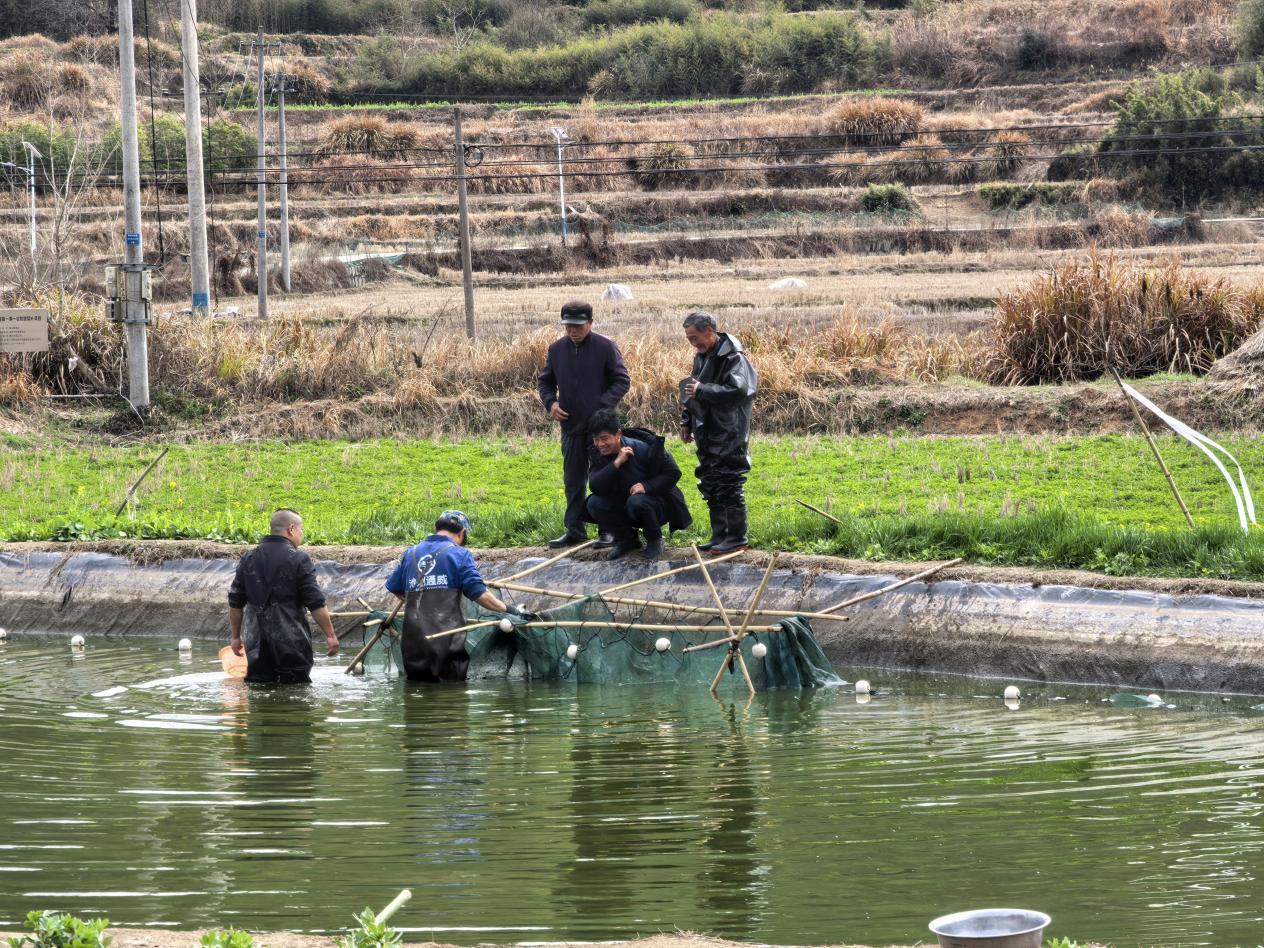 76563a1bee7672359398dce8687f917b