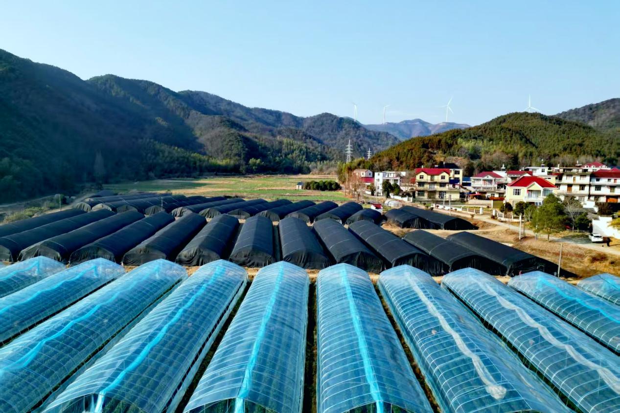 642bf693ca236e9932dca5e078d8d717