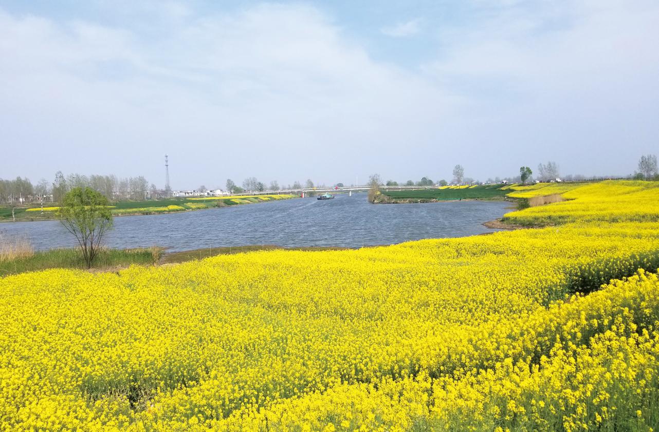 1fba3faabab7233600618d4de5e9afbf