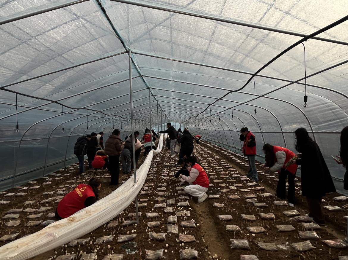 微信图片_20260309074222_876_375