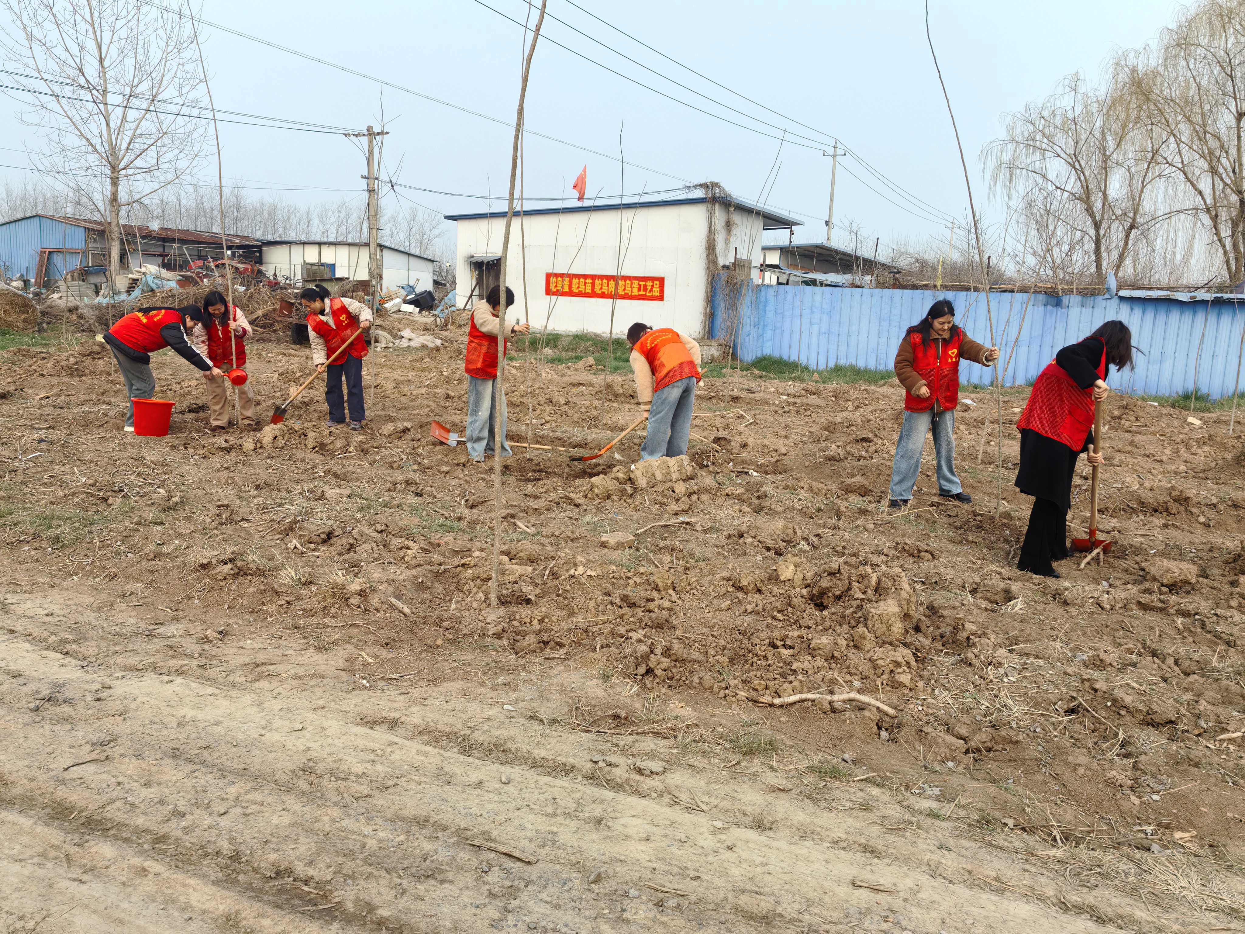 7f0646b212dde78d63ec876efb35f37b