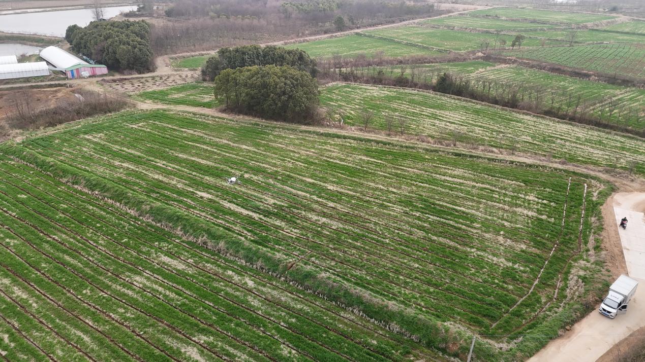 微信图片_20260306113051_285_25