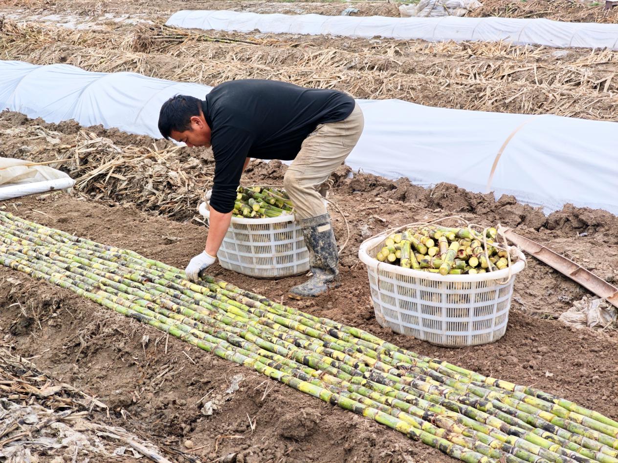 2aa04f60adf0f2aac668b76162df813