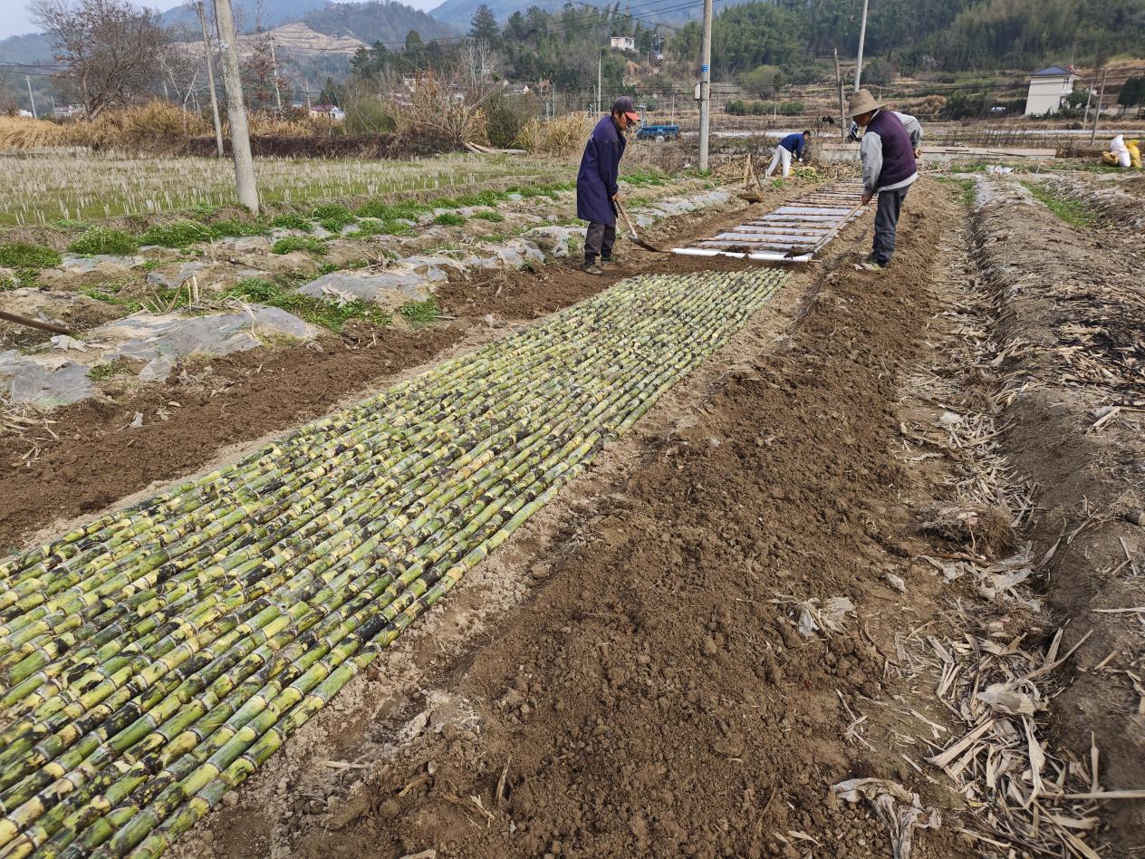 a9aa3fb81fffbb6af774bb5c3ea0176a