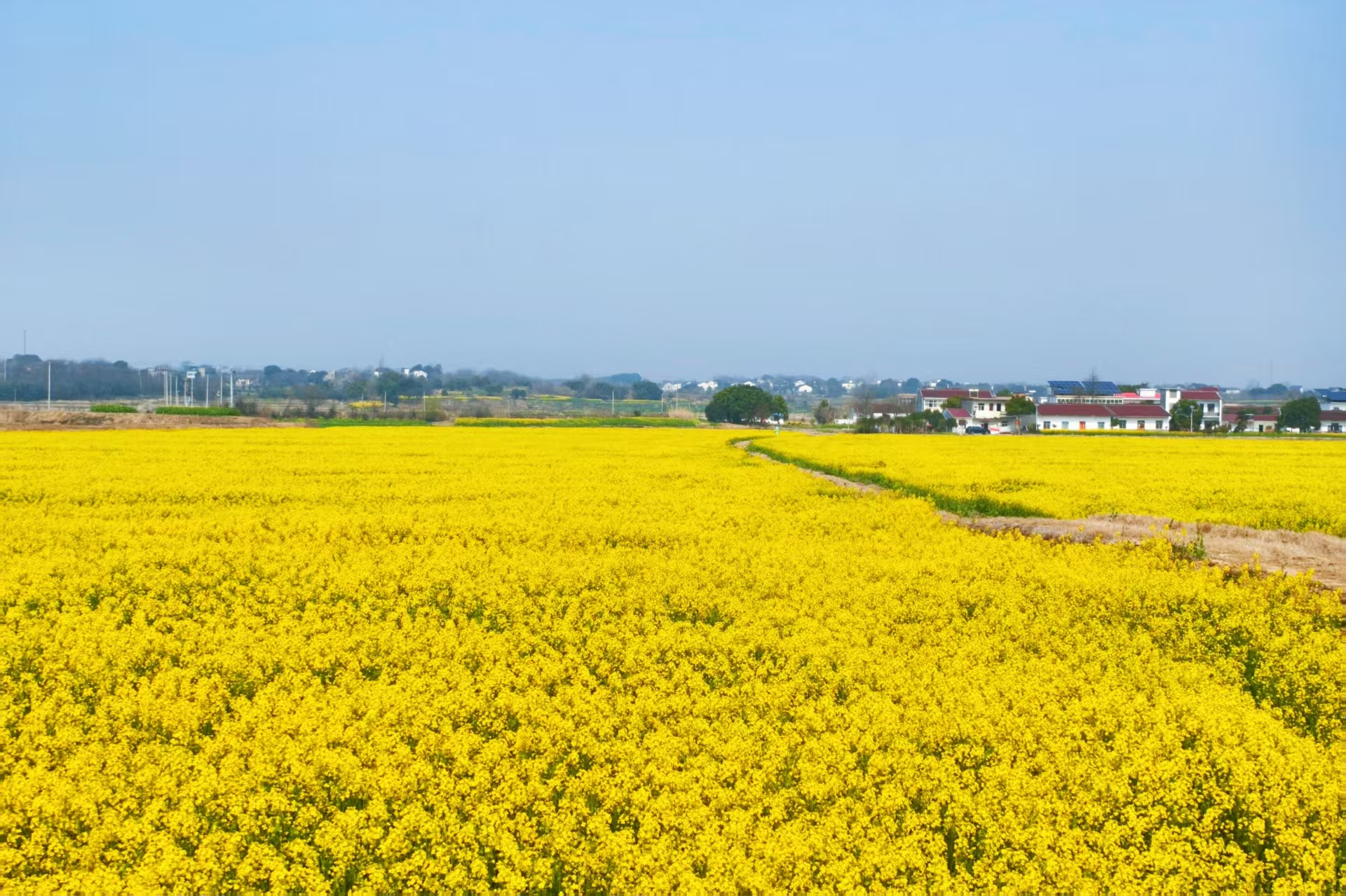 7b99981fa50b0c65b87f2482d6be1b2a