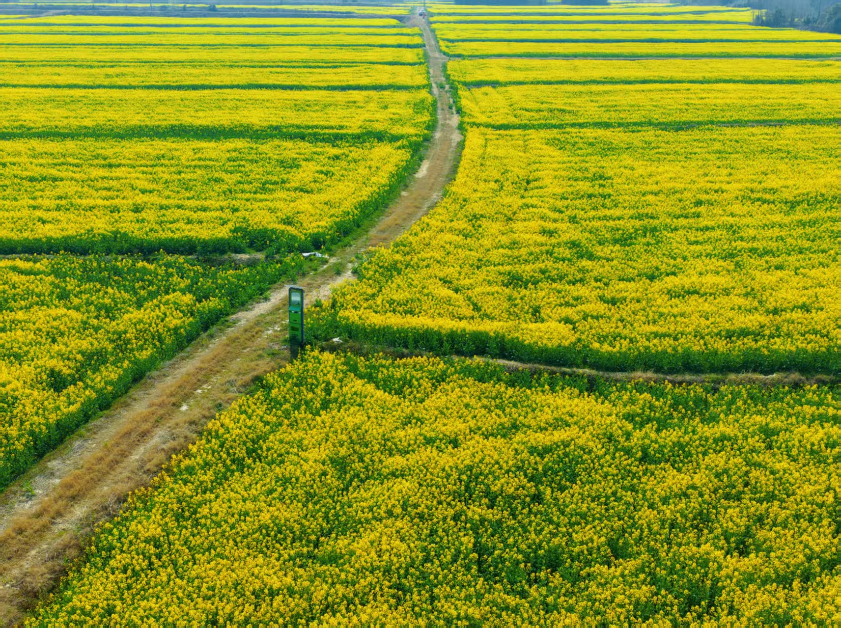 63e1c9cf6be97a1a100277d9792e603c