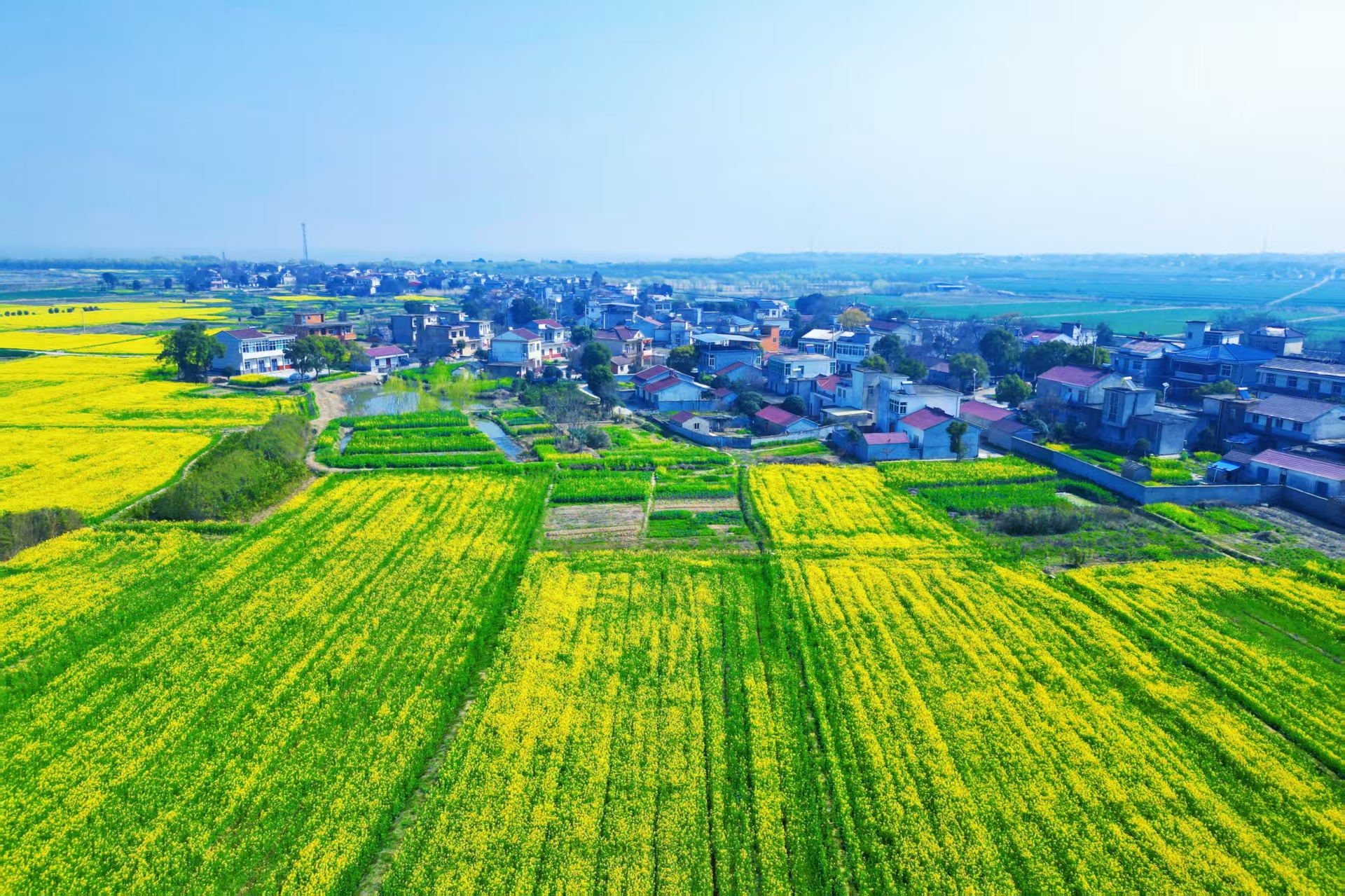 4bee30505281cf60f36935699a6b8ee2