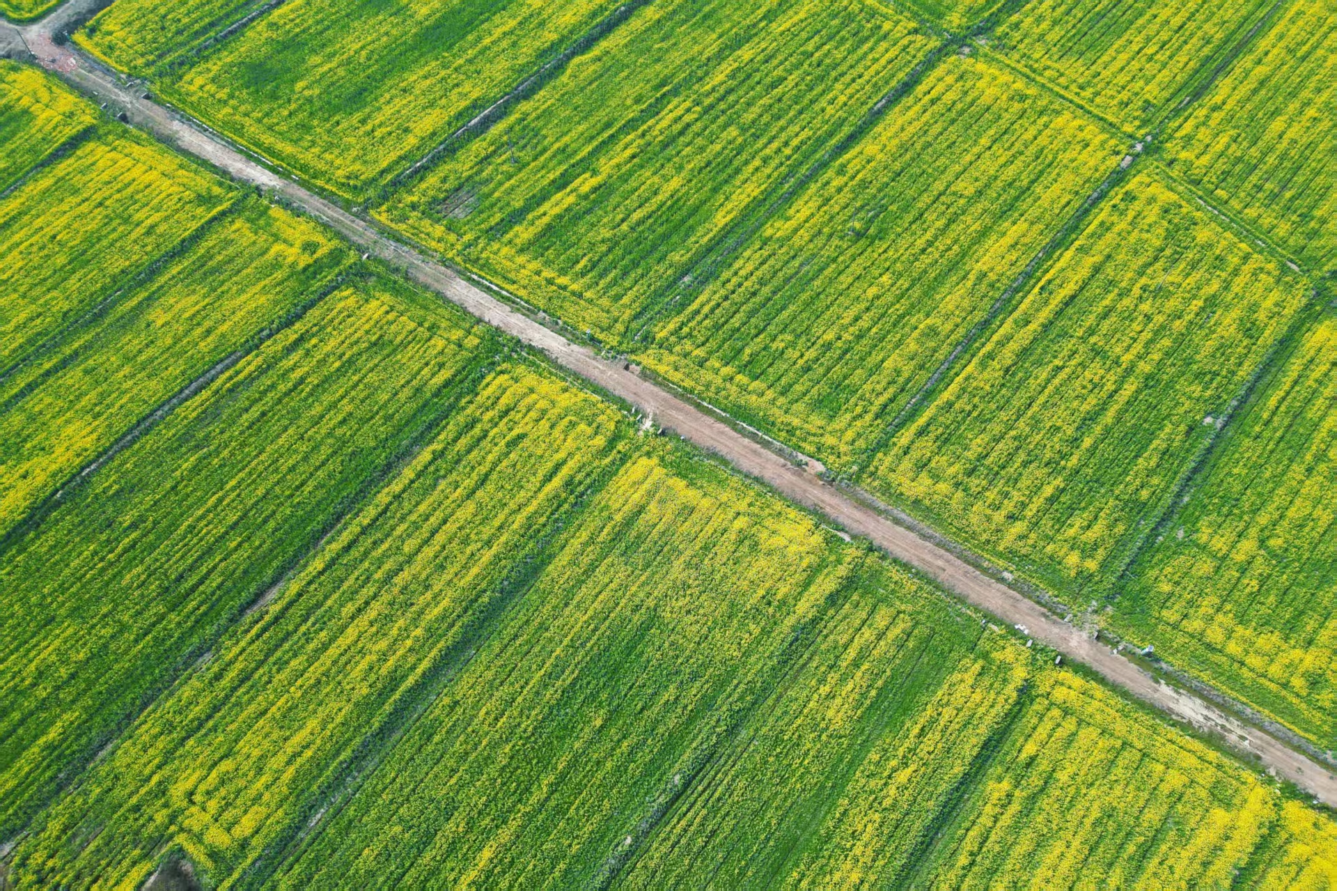 ff05a5f586b751689499124963a65174