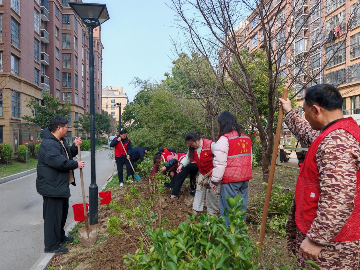 IMG_20260312_090248_edit_632252895841626