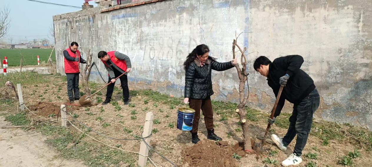 247db00ca0080435892bf7780c34625e