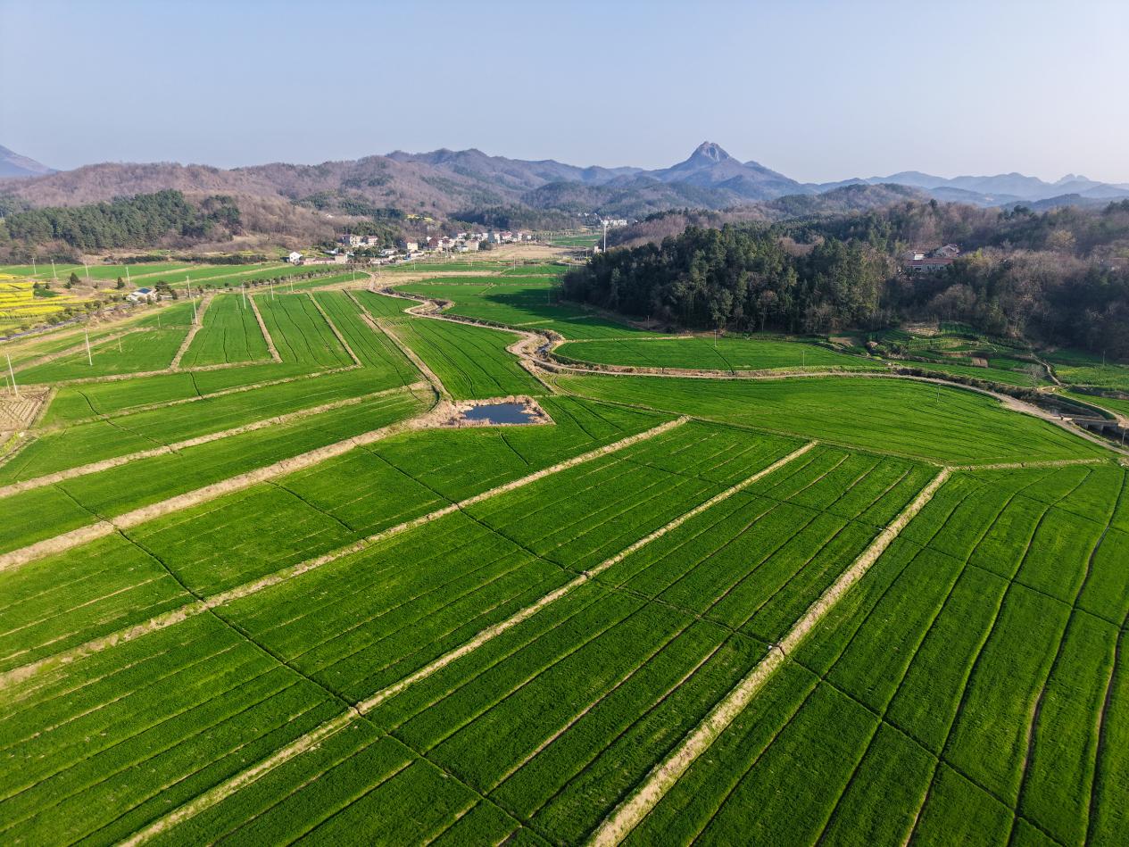 DJI_20260310163312_0076_D