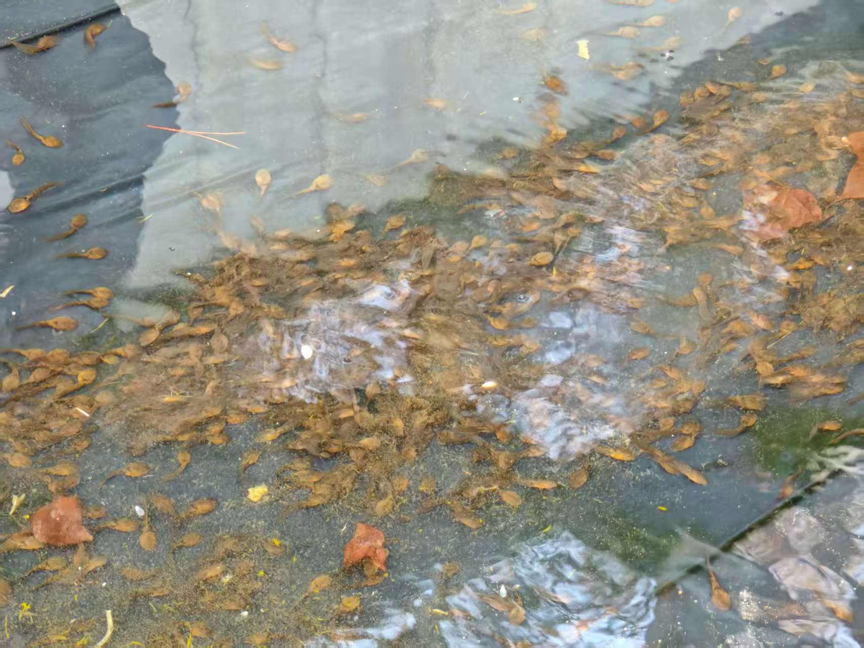 bdd674f09811f296975a79d193f26e74