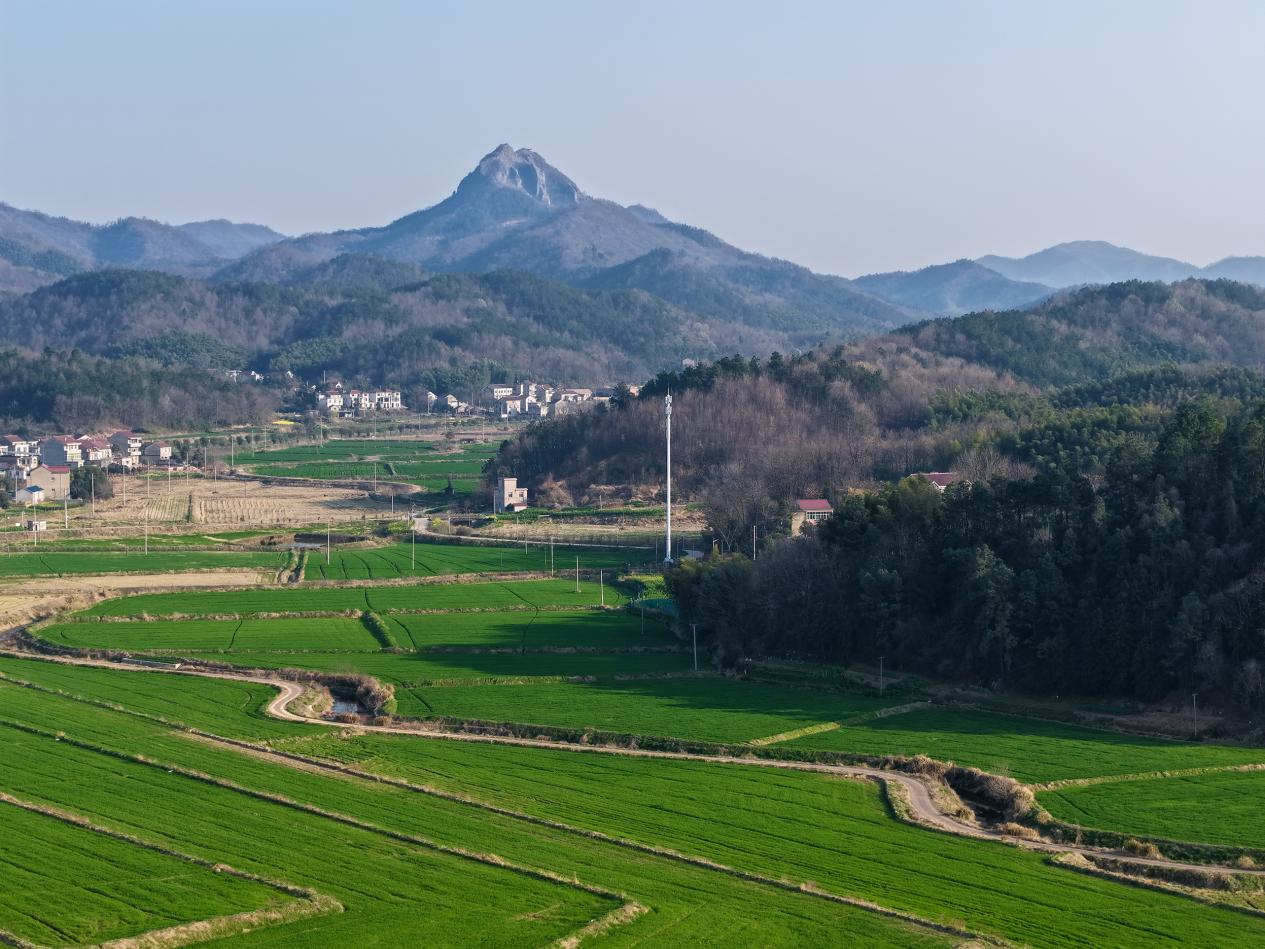 DJI_20260310163815_0101_D