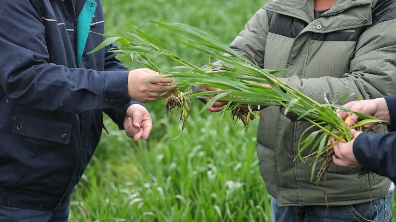 73f71e60643c018710975c8861b848ae