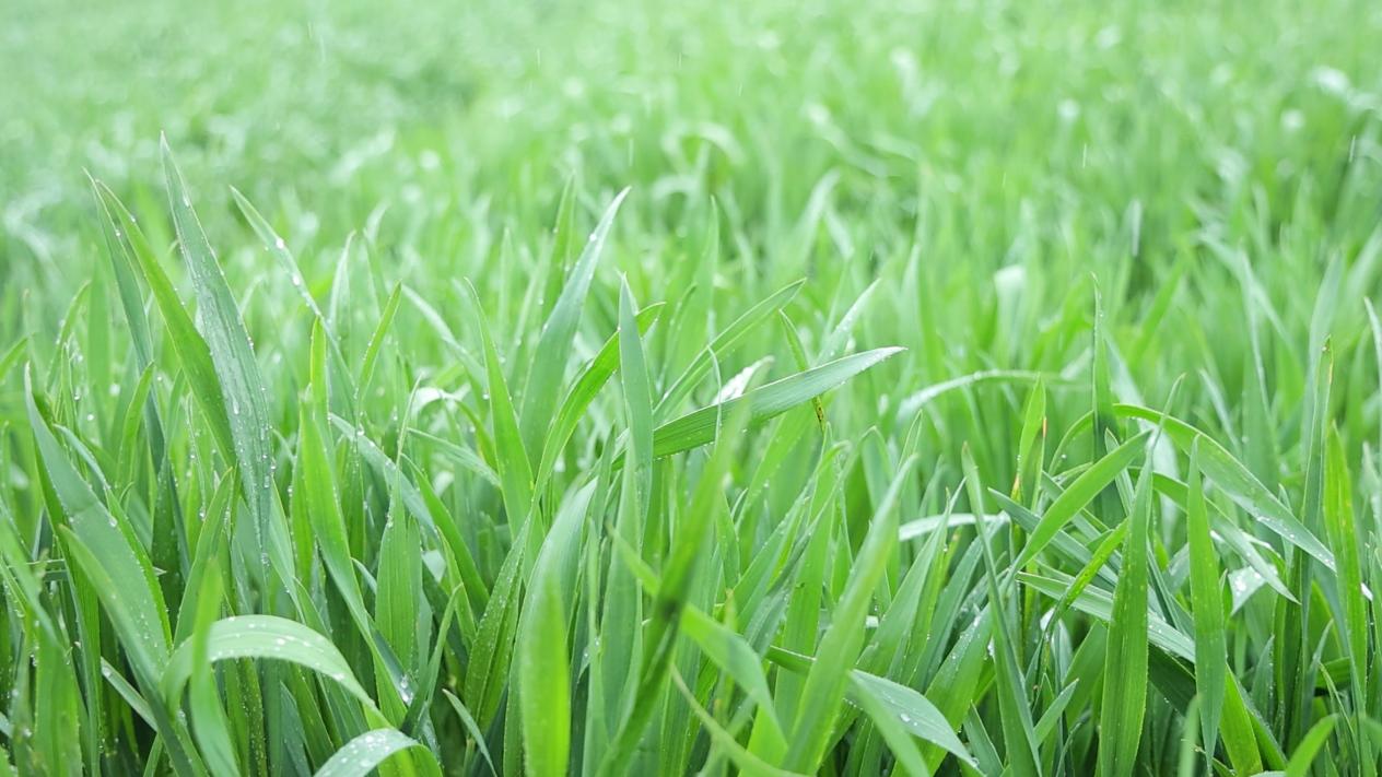 544b64d327dd1657fabdb51d44123603