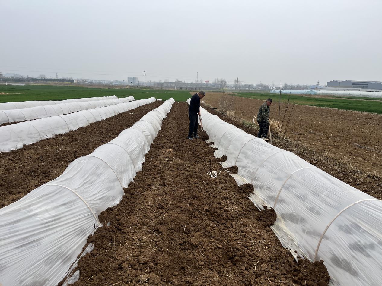 1a55e483b312fc1a17df8a3aac5139cf