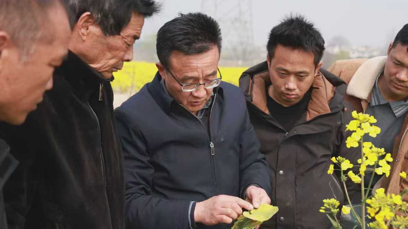 3d7115195de8b7dbd97d5f2445476a18