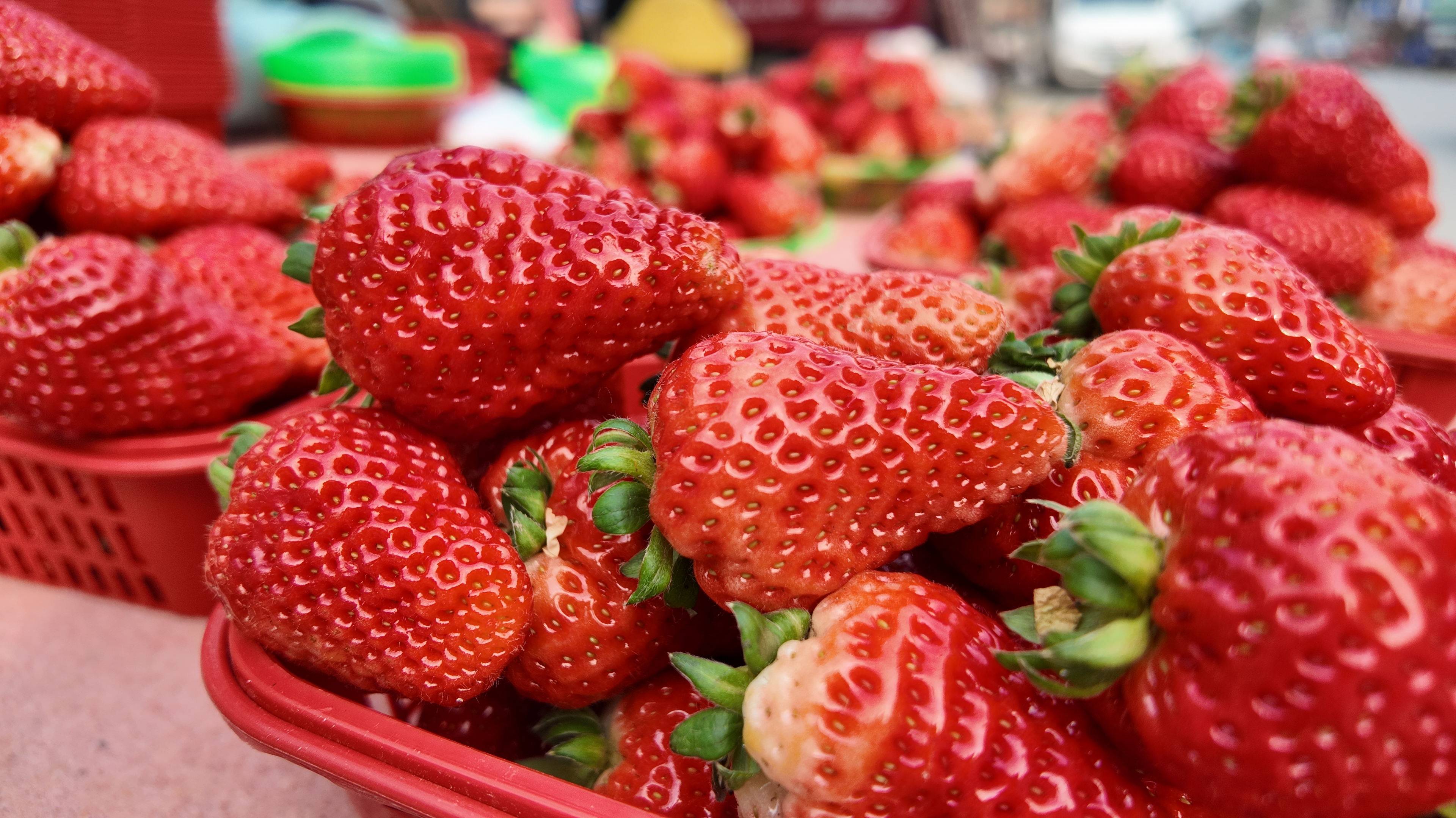 2cba7999317ae73642d4c6c8e478818b