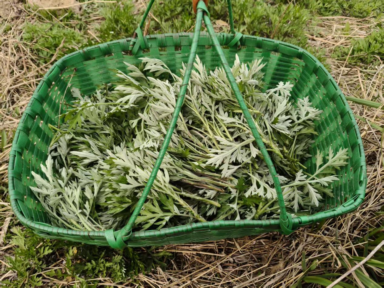 2c2b7c6d922c0e4e184f728437afc12e