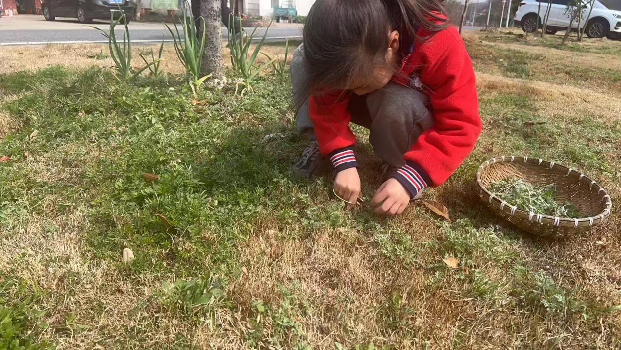 e968b692d12ef8ee10d1a87b15ad302a