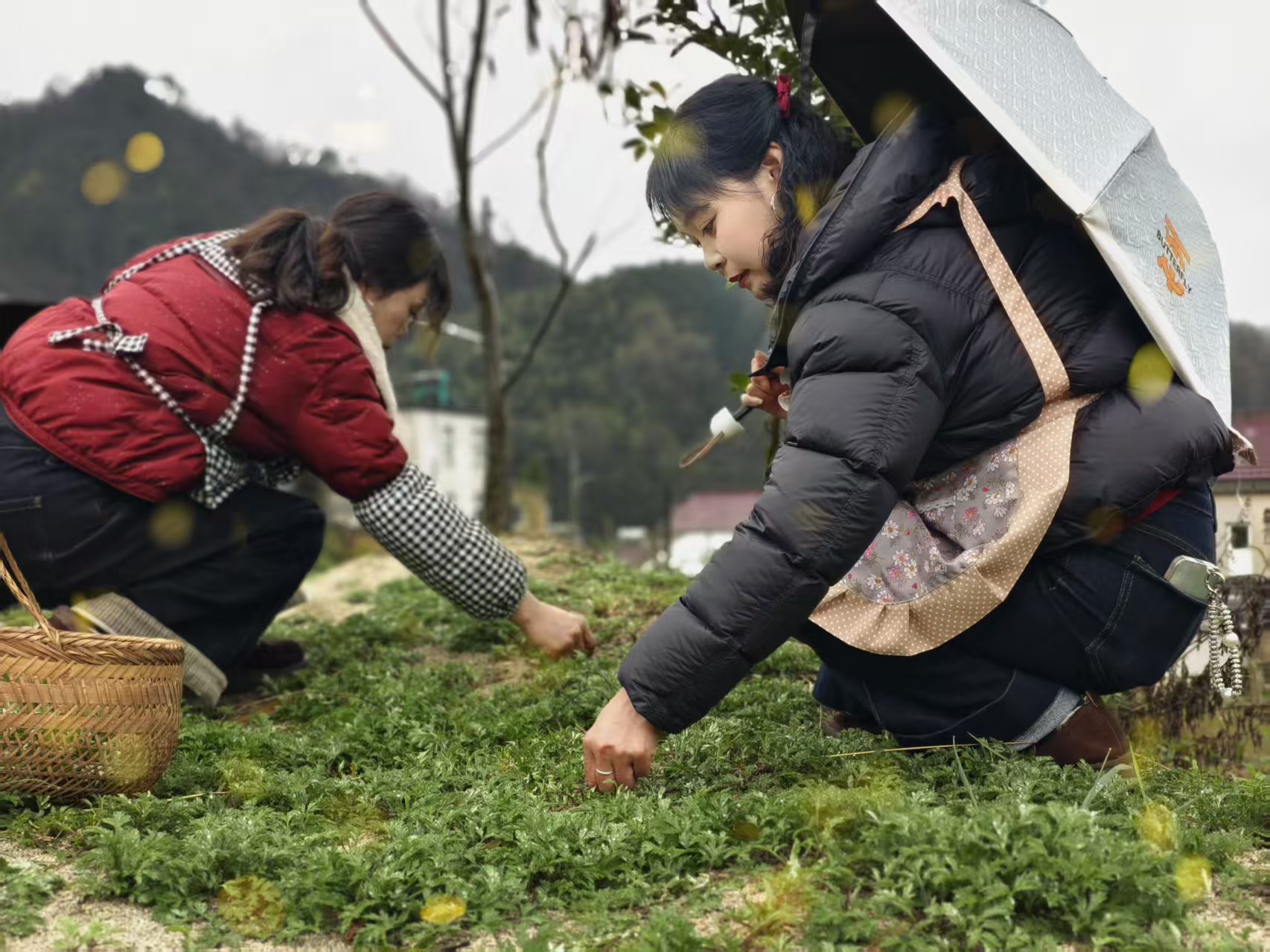 036660f4a0f8751d13a4ca6f4b54da89