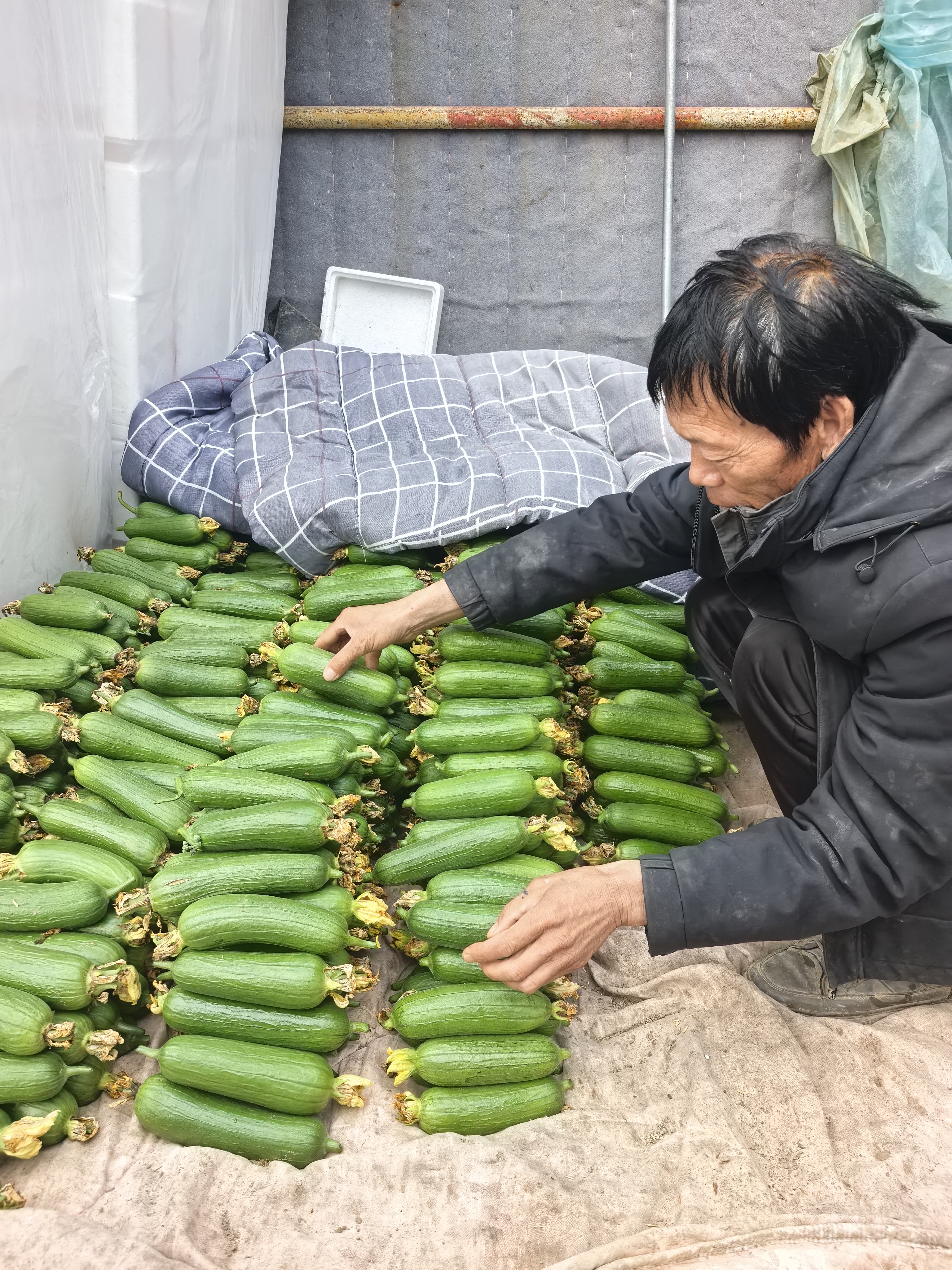 9a87f5f9706494af136fba653869cf3d