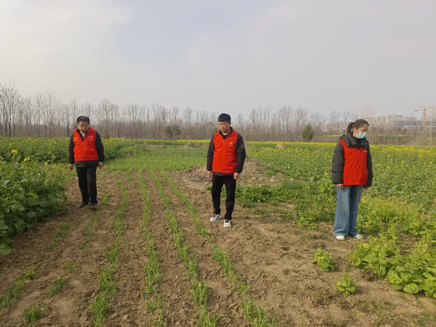 3d4a1720bbc79ae992d7a05ea6ee4a59