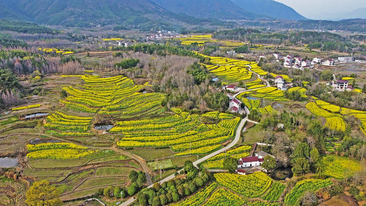 微信图片_20260325164739_649_85