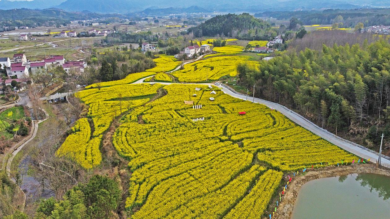 微信图片_20260325164841_651_85