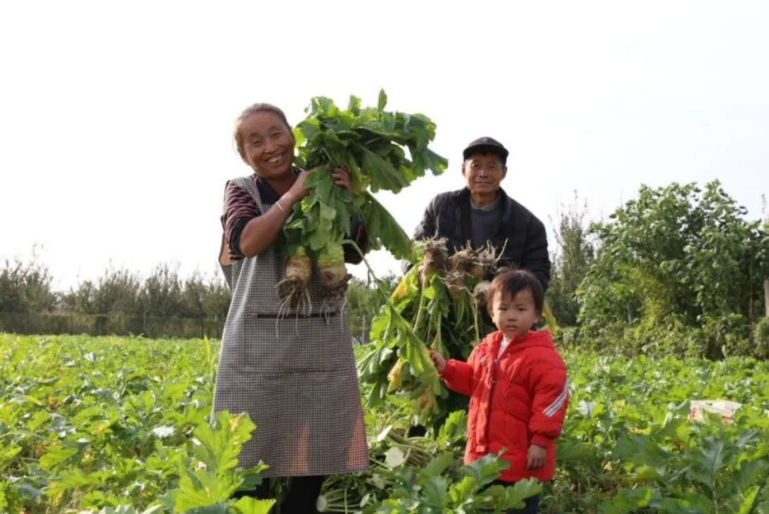 967f1299da55785476510152e3d84a3f