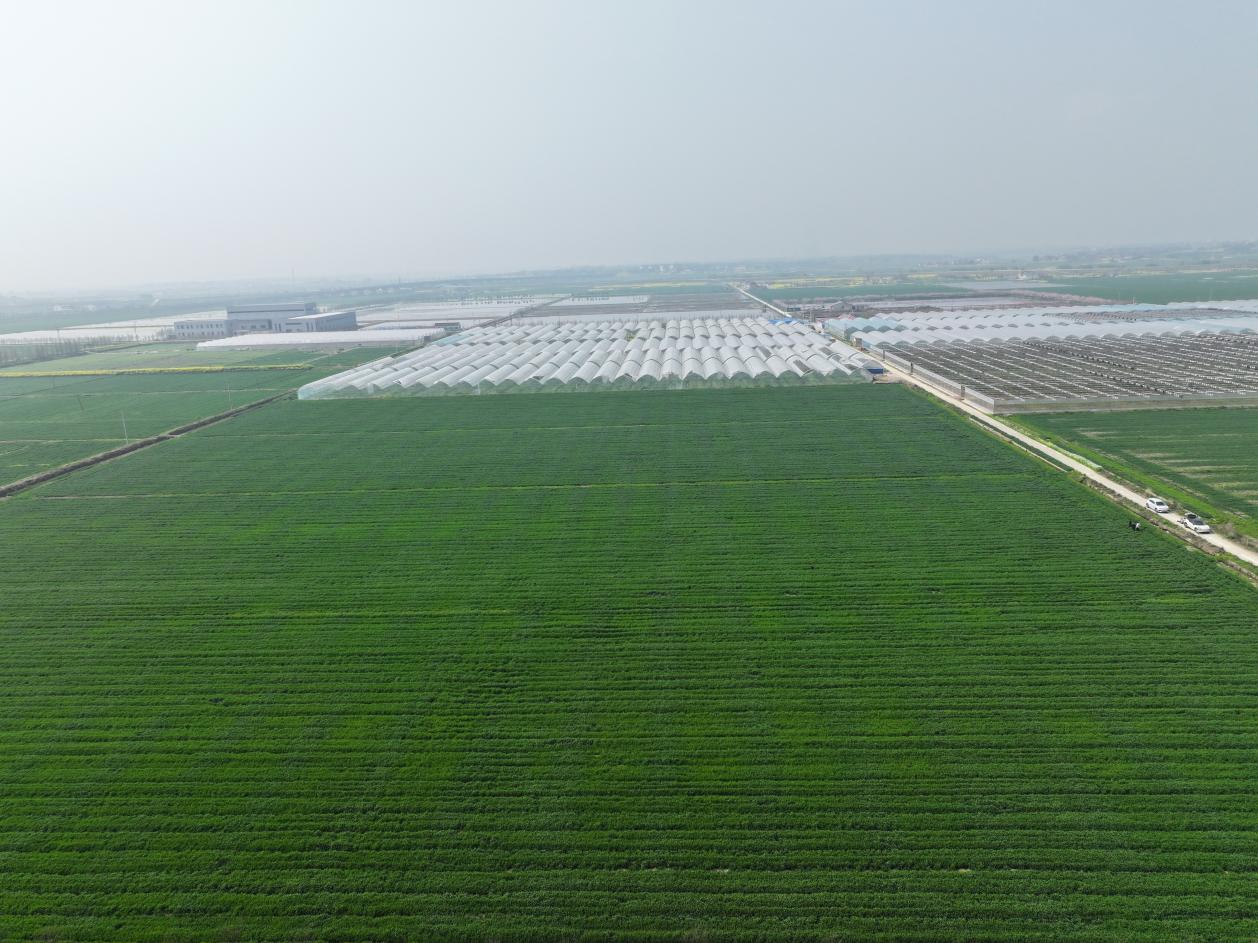 DJI_20260326110306_0339_D