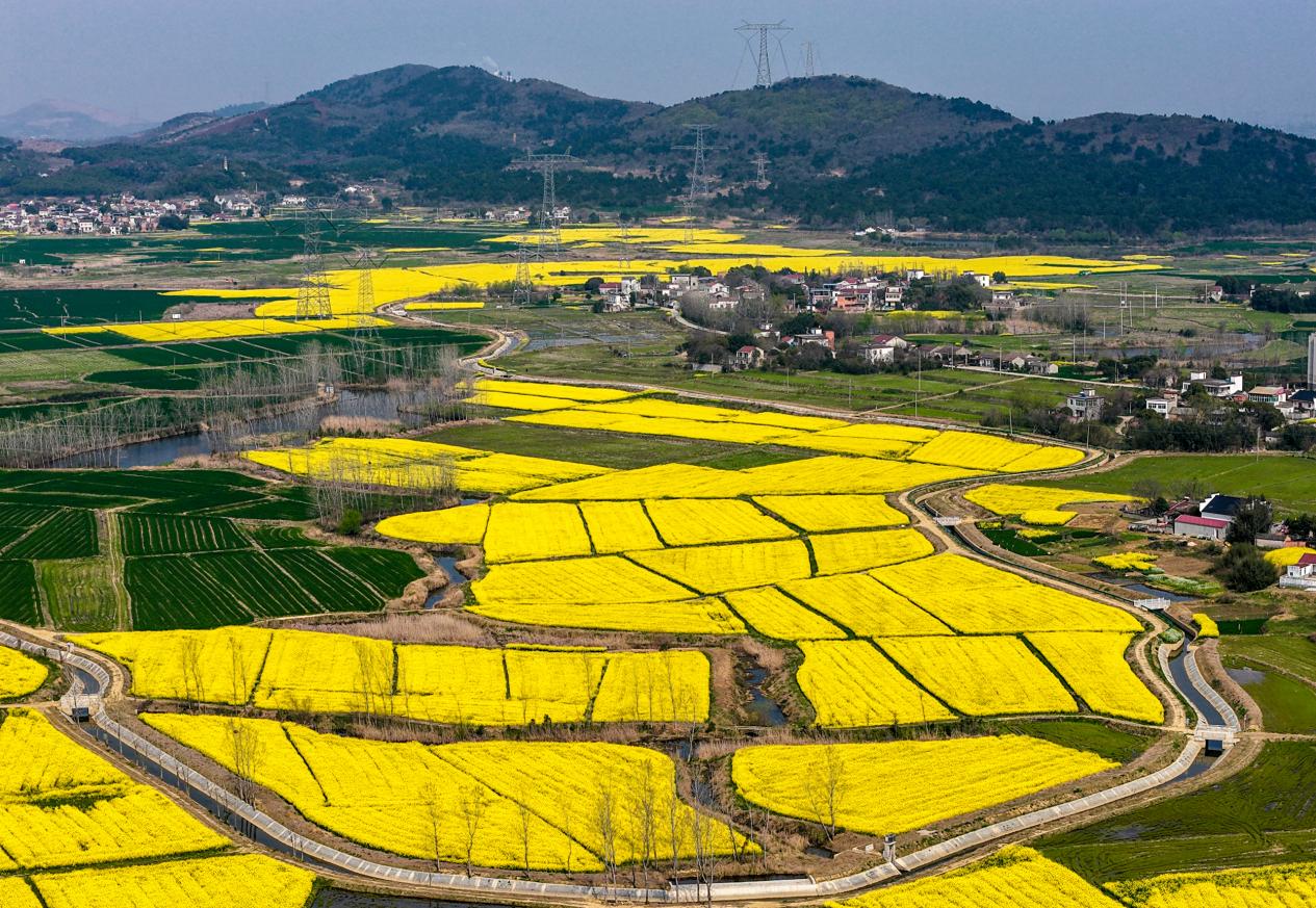 DJI_20260325143829_0062_D