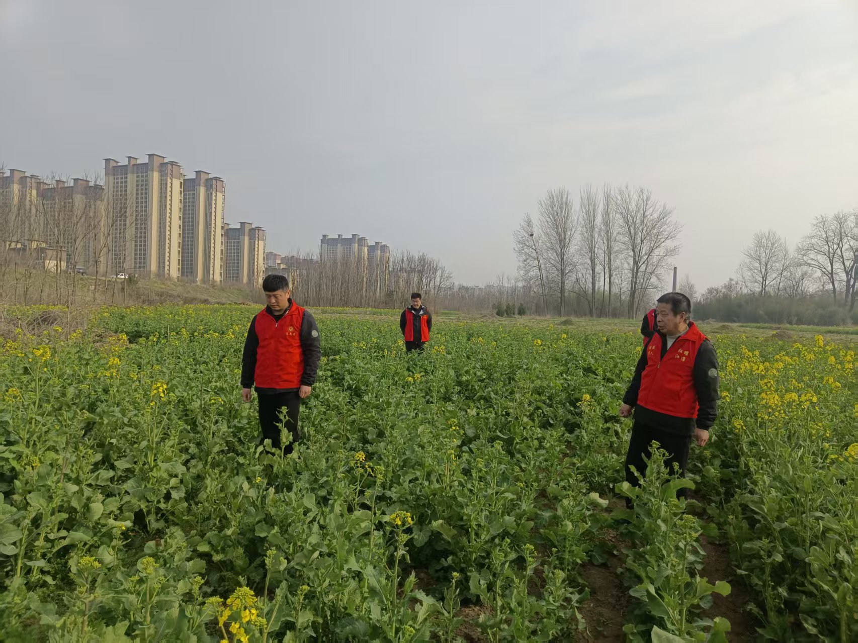 微信图片_20260313161642_1602_23