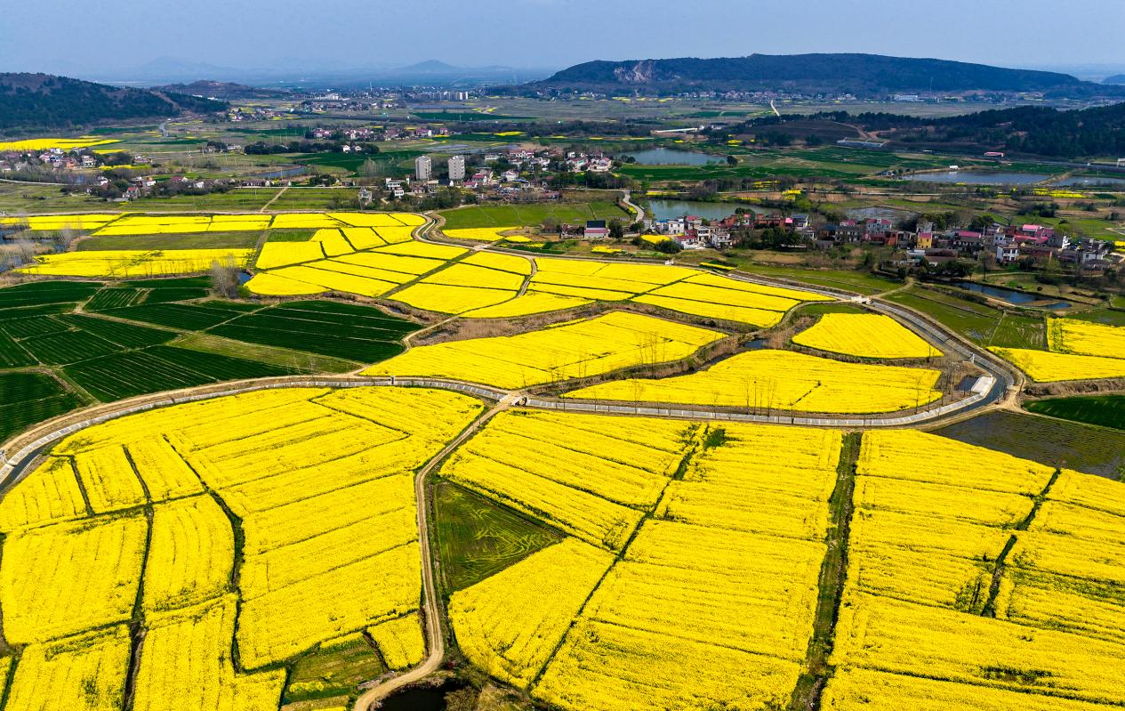 DJI_20260325143256_0045_D