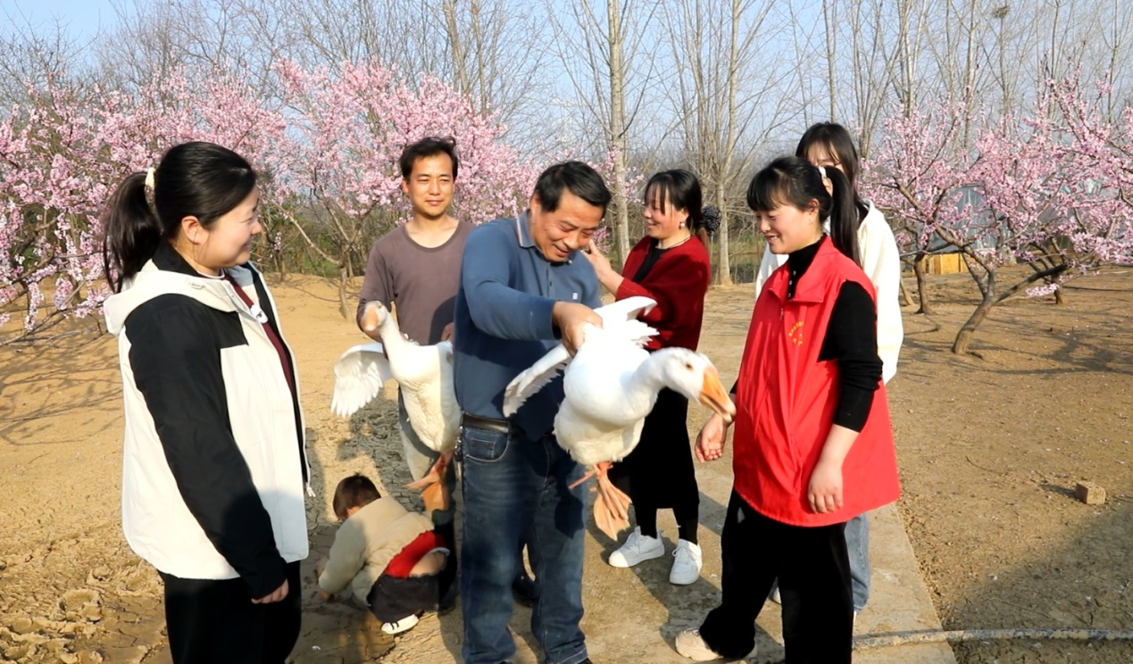 养殖户向游客介绍白鹅的特点 (3).JPG